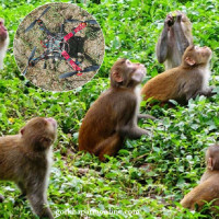 गुणस्तरीय शिक्षाका लागि स्मार्ट स्कुल कार्यक्रम अघि बढाउँछौँ : मन्त्री शर्मा