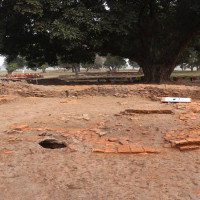 स्ववियु परिषद् सभापतिमा बुढाथोकी