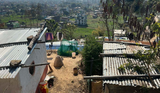 छ महिनामा बने दस वटा पक्की पुल