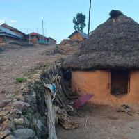 किसानलाई मल र उम्मेदवारलाई मतको चिन्ता