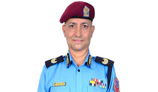 इन्टरपोलको समन्वयमा दस जनालाई विदेशबाट ल्याइयो