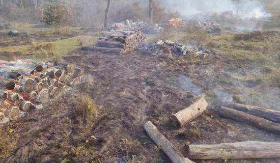 गोलिया काठमा आगलागी, करोड रुपियाँको क्षति