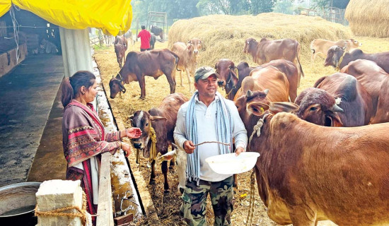 अमेरिकाबाट फर्केर भकारो स्याहार