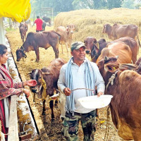 बुढीगण्डकी आयोजनाका ३४ सय प्रभावित परिवारलाई मुआब्जा वितरण
