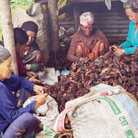 विद्युत् खेर जान नदिन पहल