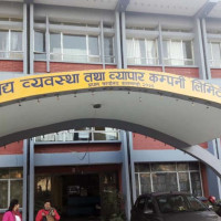 विद्युत् खेर जान नदिन पहल