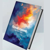 स्थानीय सरकार : कार्यसम्पादन कमजोर