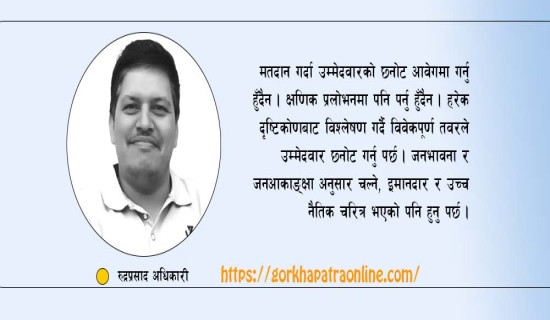 मतदाताको दायित्व