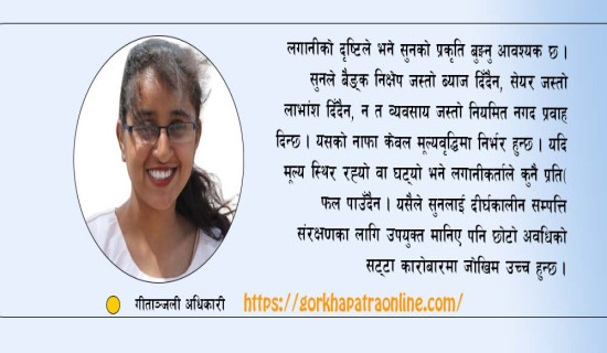 सुनमा लगानीका जोखिम