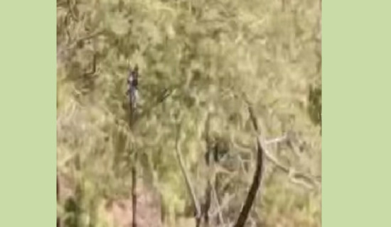 त्रिसट्ठी दिनमा सकियो ‘झिँगेदाउ–२’ को छायाङ्कन