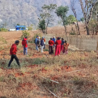 पोखरामा दुई सातापछि फोहर उठाउन थालियो