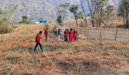 बोडीले मूल्य नपाउँदा किसान चिन्तित