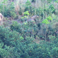 मुस्ताङ भन्सारको राजस्व ५ अर्ब ५९ करोड