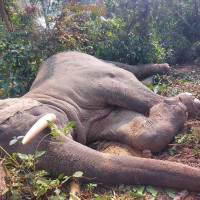 राष्ट्रियसभा १९औँ अधिवेशनमा महत्त्वपूर्ण काम गर्न सफल भयौँ : अध्यक्ष दाहाल