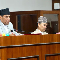 टी–२० विश्वकप : अस्ट्रेलिया जिम्बाबेसँग स्तब्ध