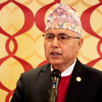 राष्ट्रपतिसमक्ष उपनिर्वाचन परिणामको प्रतिवेदन पेस