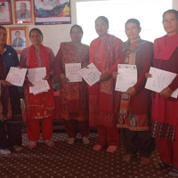 सडकको बिरुवा काट्ने भुषाल पक्राउ