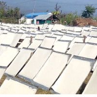 प्रदर्शनीमा कलाकार सम्मानित