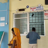 सडकको बिरुवा काट्ने भुषाल पक्राउ