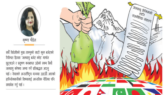 अभिभावकीय भूमिकामा राष्ट्रिय सभा