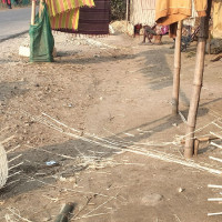 वन्यजन्तुपीडित  कृषकलाई बिउपुँजी