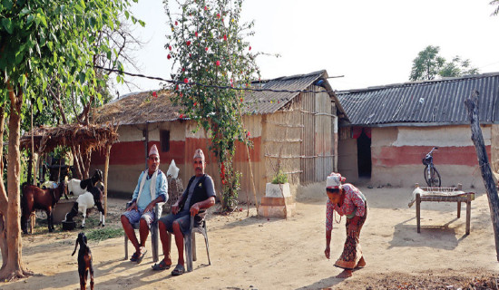 कार्यसम्पादनमा अब्बल बन्दै तीन स्थानीय तह