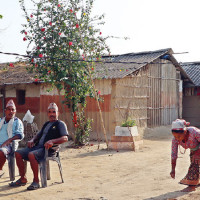 वन्यजन्तुपीडित  कृषकलाई बिउपुँजी