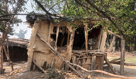 वन्यजन्तुपीडित  कृषकलाई बिउपुँजी