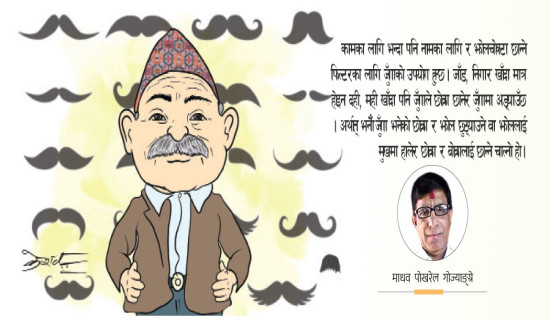 विकासनिर्माणमा सेना