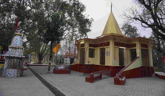 विकासका लागि काँग्रेसलाई जिताउनुहोस् : डा. आरजु