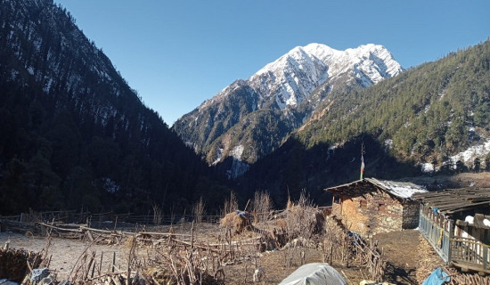 आजको राशिफल