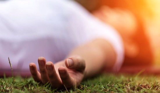 मिल्सबेरी काष्ठमण्डप बास्केटबल च्याम्पियन