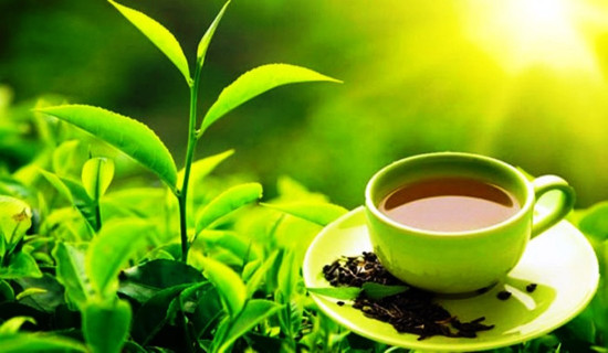 चिया उद्योगलाई आधुनिक र प्रतिस्पर्धी बनाउने चीनको नयाँ रणनीति