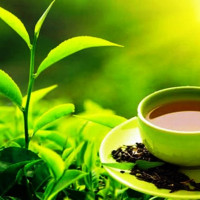 निर्वाचन शान्तिपूर्ण रुपमा सम्पन्न गराउन प्रधानसेनापतिको विशेष निर्देशन