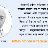 प्रभावकारी संसद्को अपेक्षा