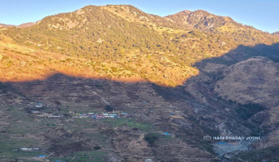 कैलारी १ मा कांग्रेसका बोहरासहित प्यानल विजयी