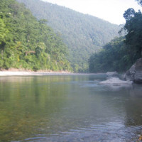 आजको राशिफल