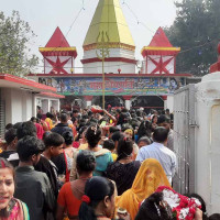 सुन्तला बेचेर तनहुँका कृषकले भित्र्याए करोडौँ