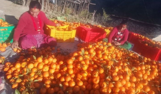 सरस्वती पूजामा अक्षरारम्भ संस्कार (फोटो फिचर)