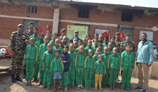 गाउँमा चर्खे र लिङ्गे पिङकाे रौनक