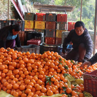 चुनावी प्रचारप्रसार सुरुः सभा र जुलुसका लागि प्रशासनको अनुमति अनिवार्य