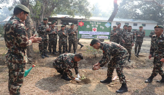 चुनावी घोषणापत्र र मानव अधिकार