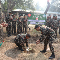 नेपाली कांग्रेस बन्यो ठुलो दल
