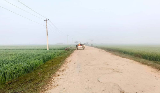 मतदाता शिक्षाको प्रभावकारिता