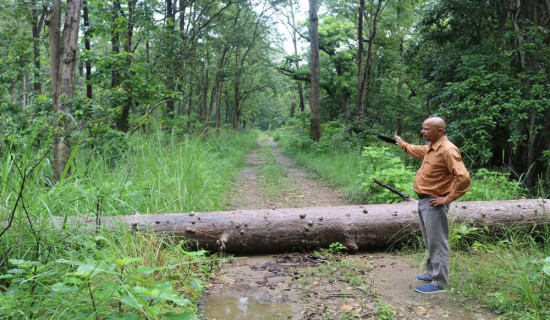 चुनावी मुद्दा बनेको सडक अझै अधुरै