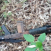 फापर खेतीले रङ्गिन बनेको चितवन