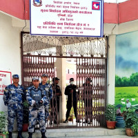 अचम्मको बुद्धकालीन पाकरीको बोट