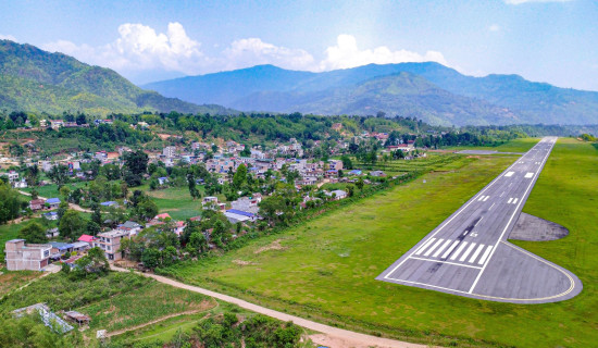 फौजी किराले मकैको बिरुवा नष्ट गरेपछि कृषक मर्कामा