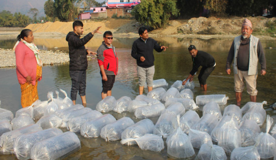 जेनजी आन्दोलनमा लुटिएको पेस्तोल र गोली बरामद