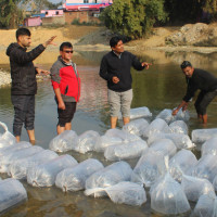 दुर्घटनामा मोटरसाइकल चालकको मृत्यु